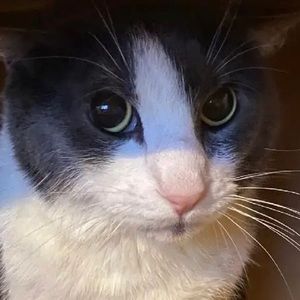 Meet your Posher, Aaron